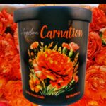 Carnation Scented Soy Wax Candle